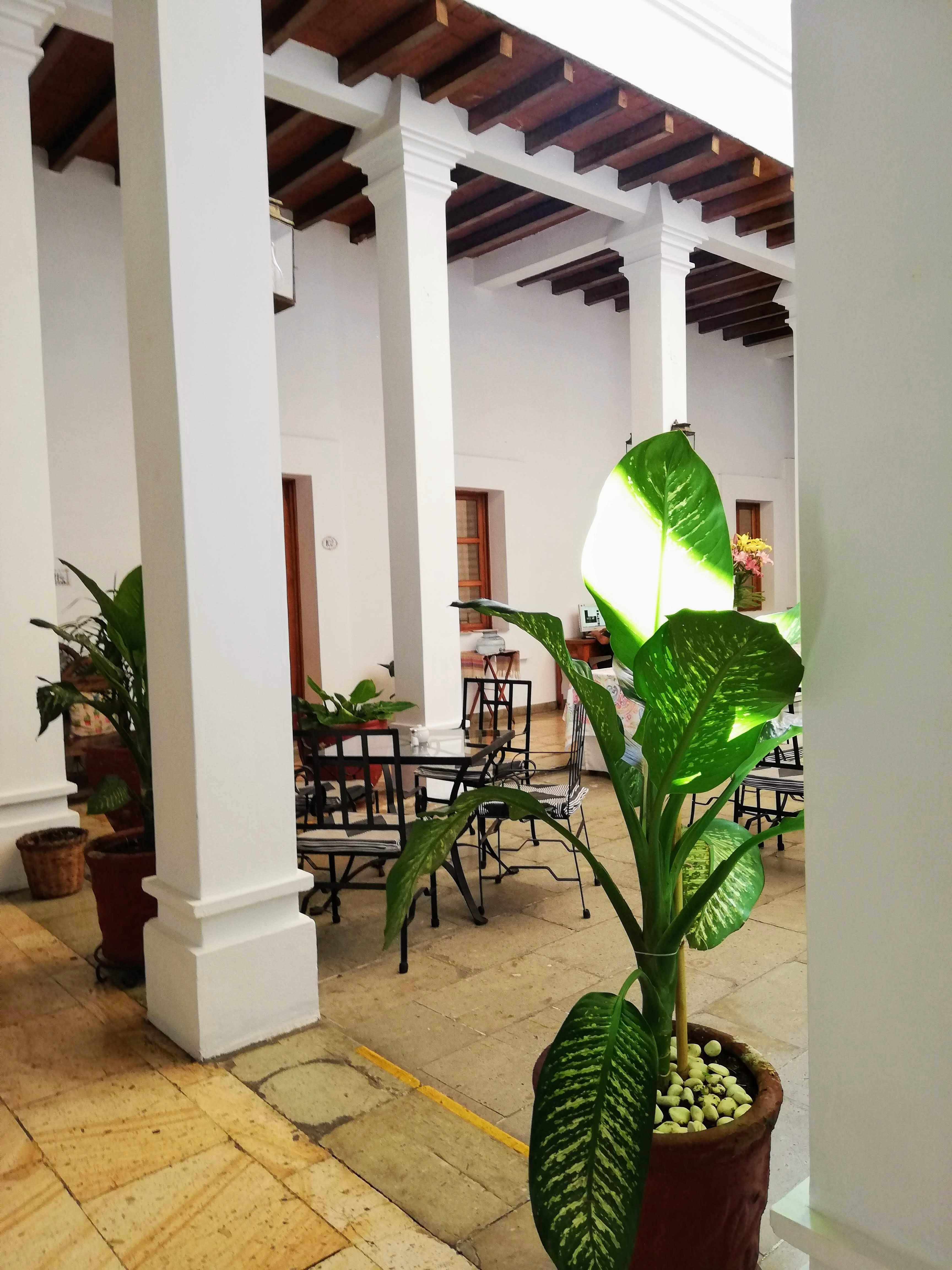 Hotel Aitana Oaxaca Luaran gambar